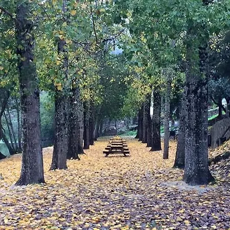 Casa de Férias Casa Do Alto Penacova